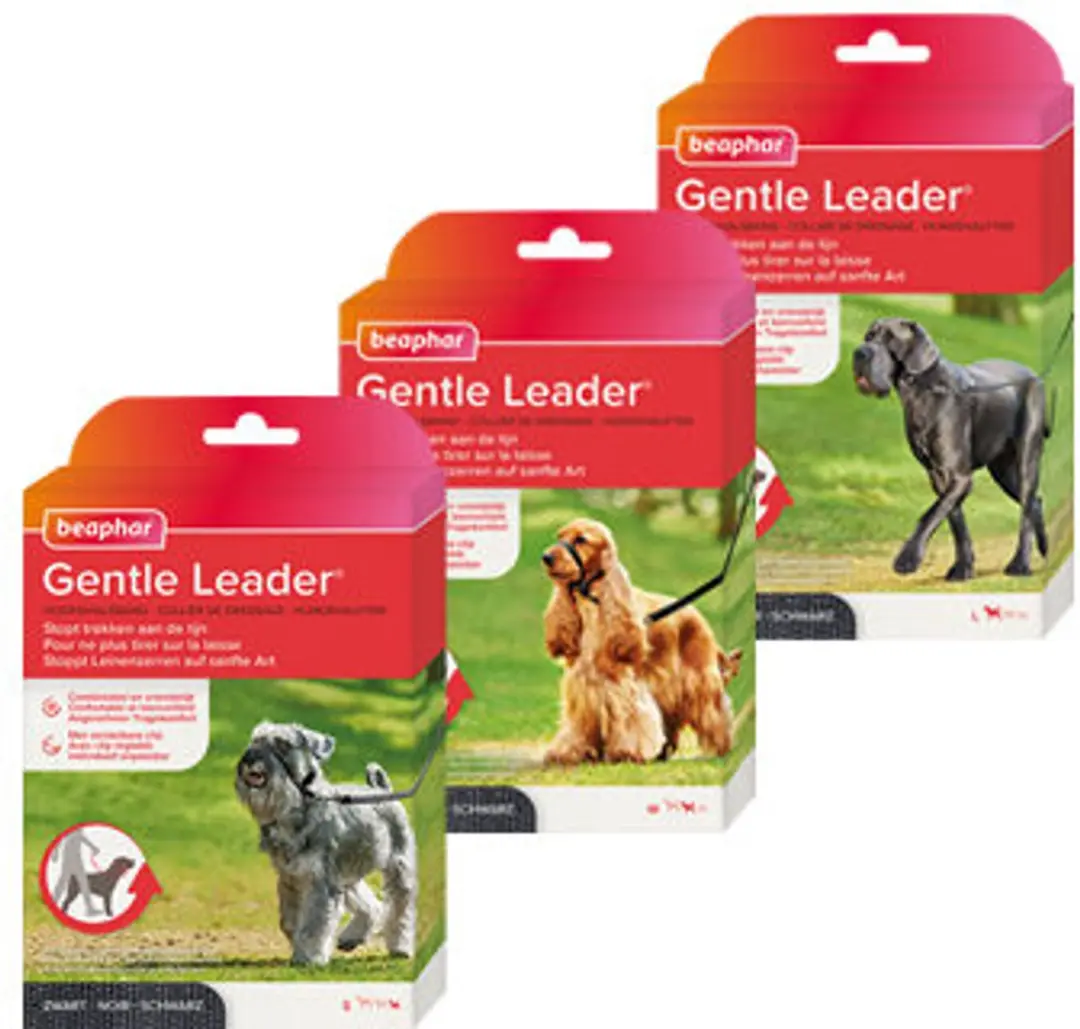 Beaphar Gentle Leader Kleine Honden/Puppy's - Zwart - afbeelding 2 van 5