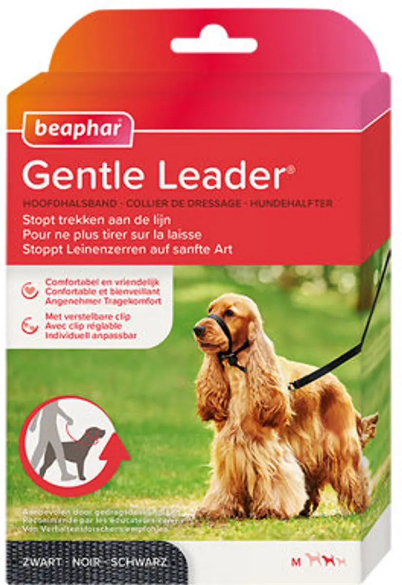 Beaphar Gentle Leader Kleine Honden/Puppy's - Zwart - afbeelding 3 van 5
