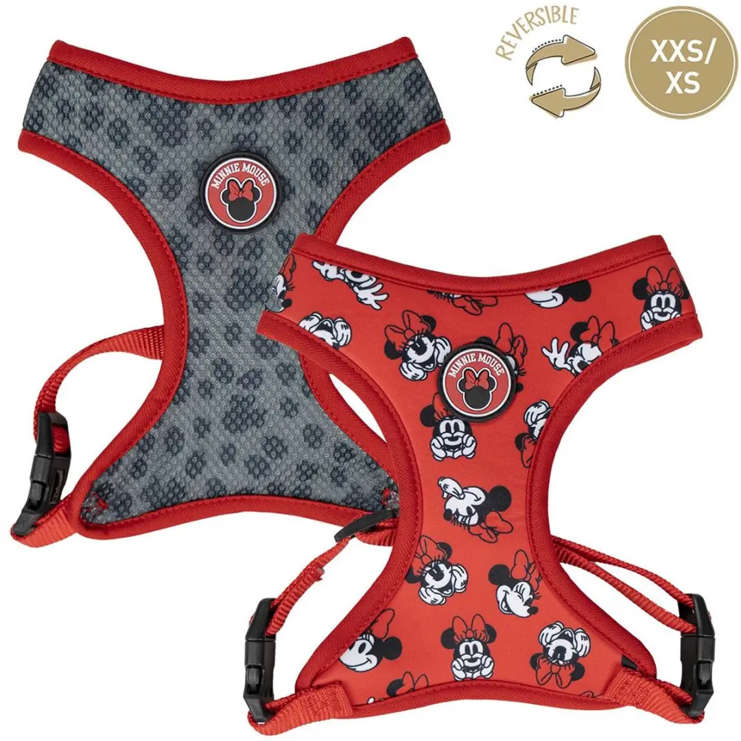 Disney Minnie Hondenharnas