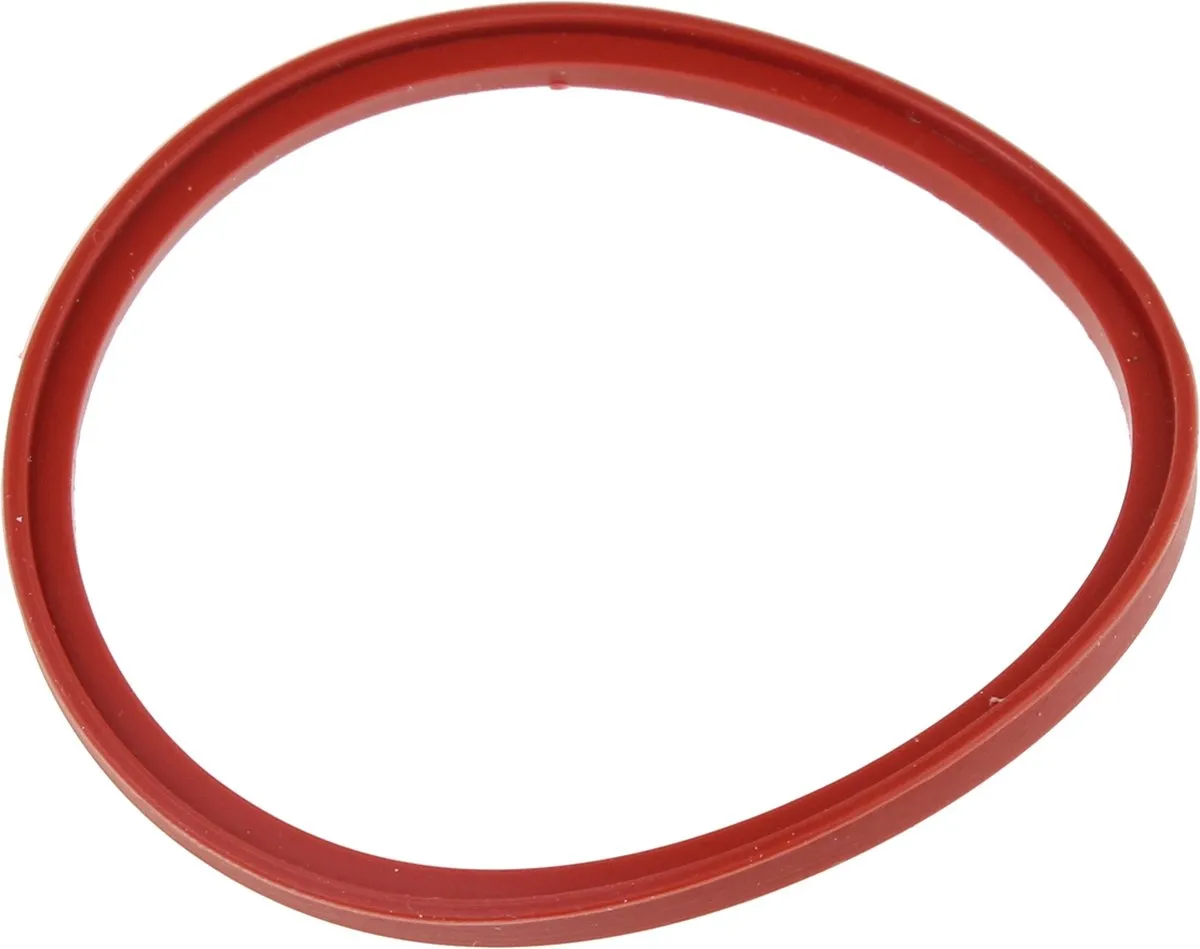 Magimix Boiler Dichting 502220