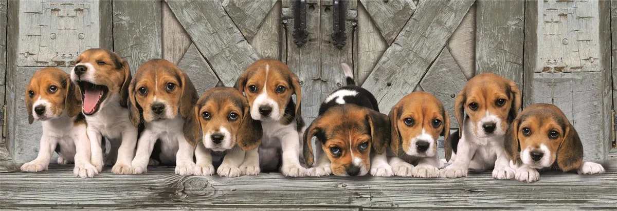 Clementoni Beagles Panorama Puzzel 1000 Stukjes - Multicolor