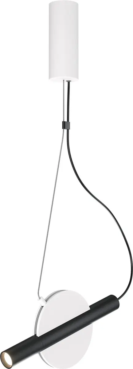 Maytoni Enigma Hanglamp