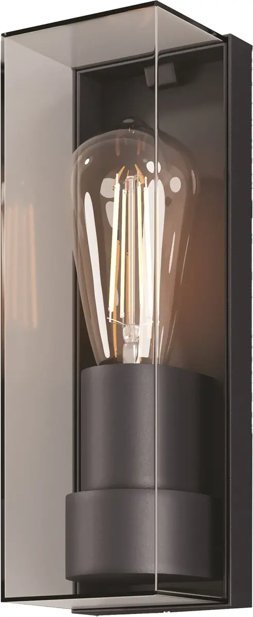 Maytoni Outdoor Wandlamp Conf Grafiet
