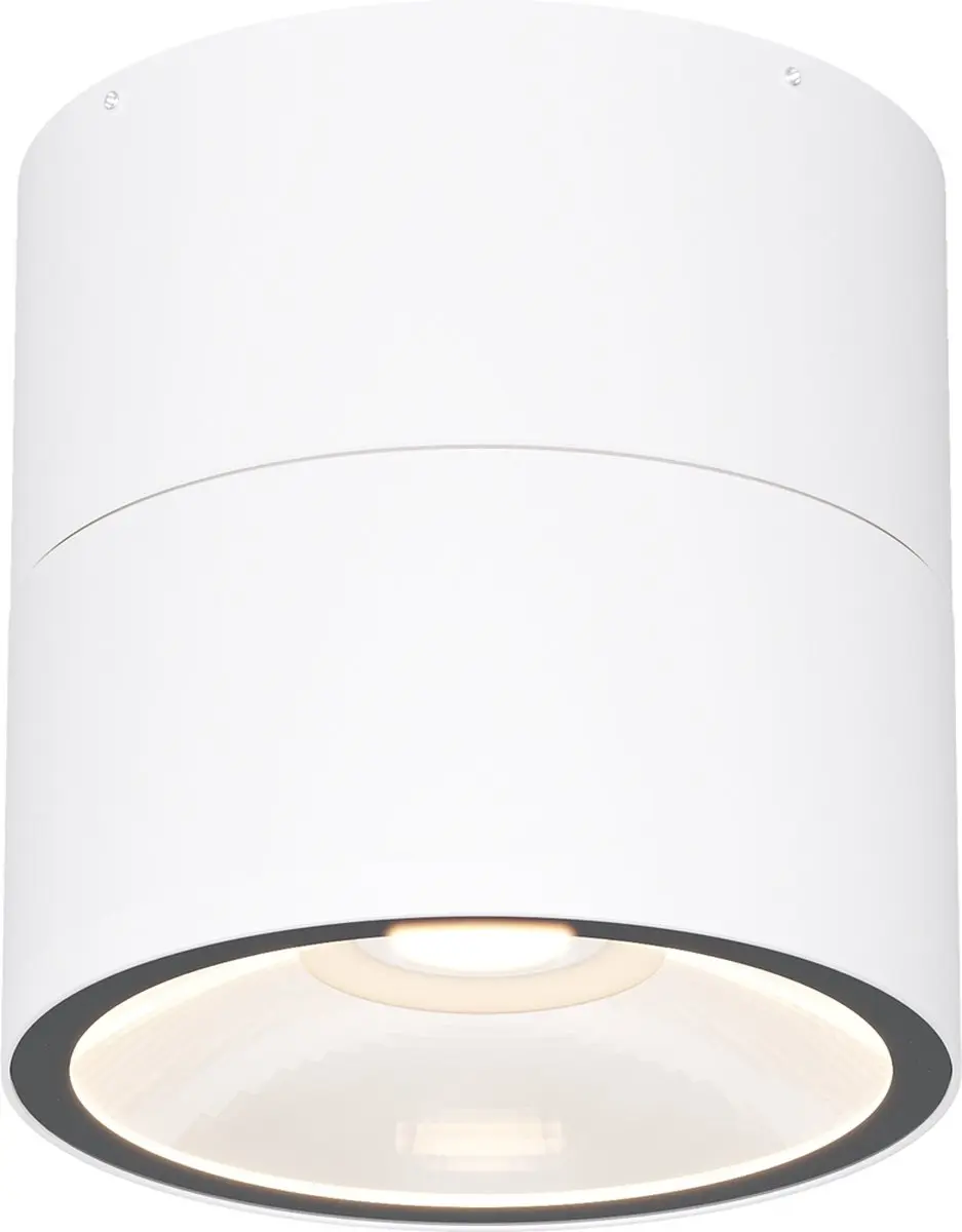 Maytoni Outdoor Plafondlamp Spin