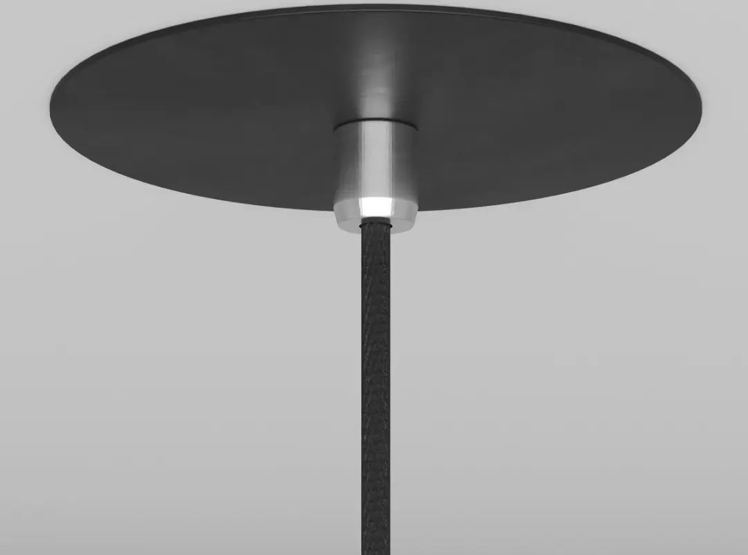 Maytoni Nevill Hanglamp - Zwart - Ø8