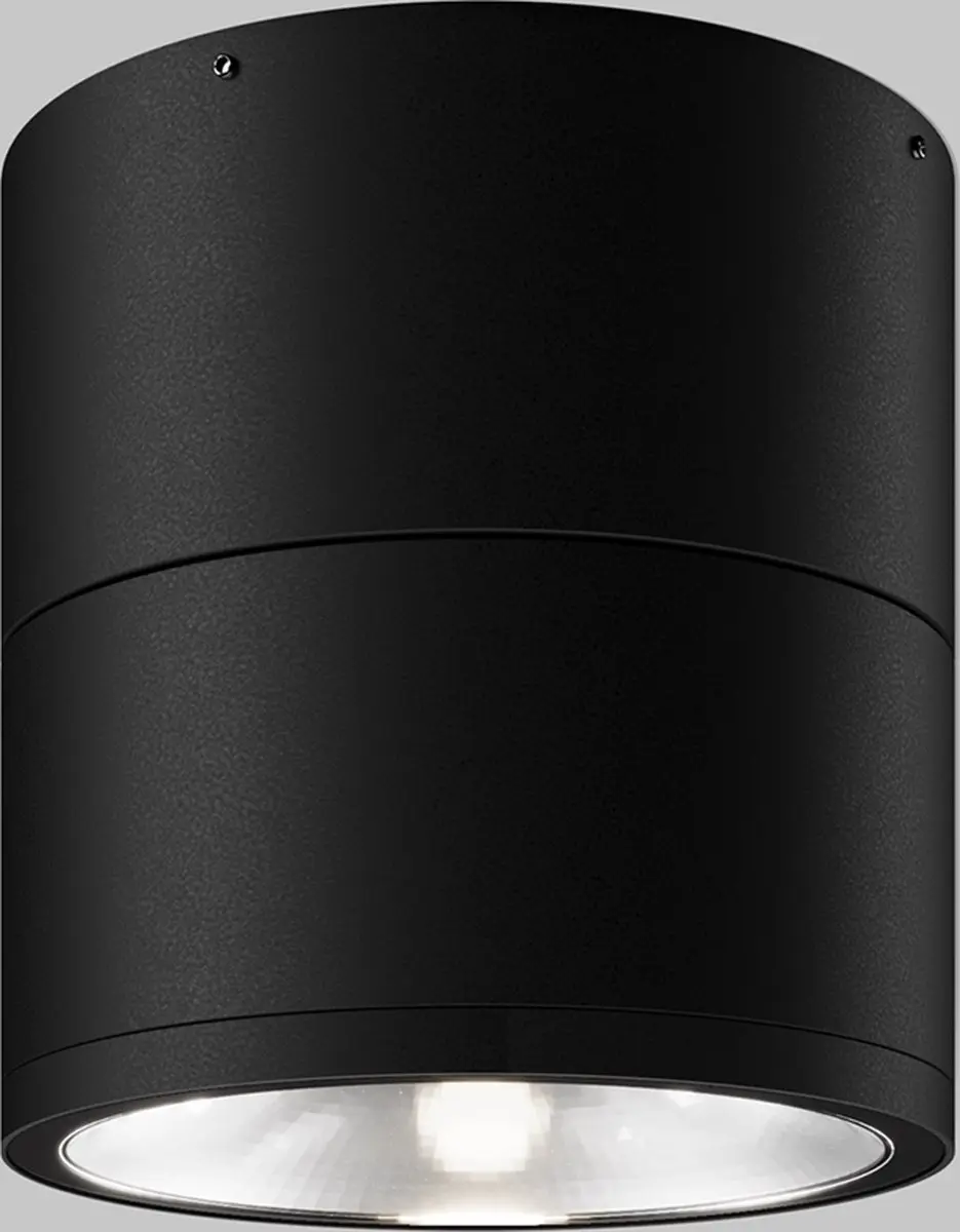 Maytoni Outdoor Plafondlamp Spin Grafiet - Ø10,8cm