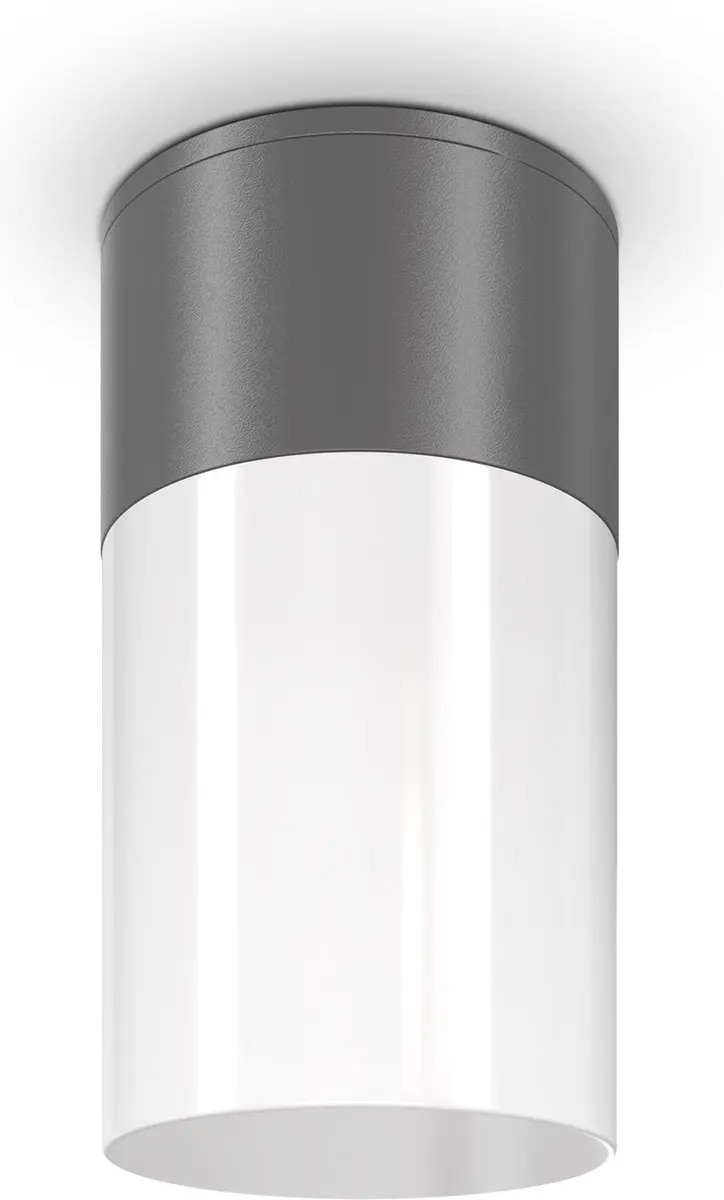 Maytoni Willis Plafondlamp Grafiet Ø8cm