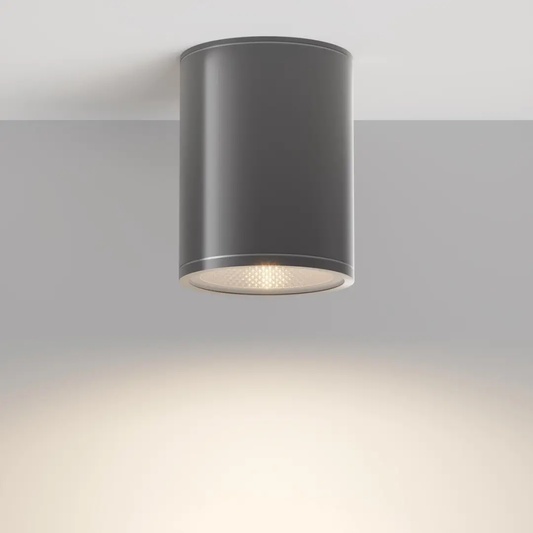 Maytoni Outdoor Plafondlamp Bar Grafiet Ø9cm