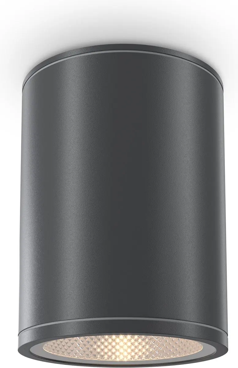 Maytoni Outdoor Plafondlamp Bar Grafiet Ø9cm
