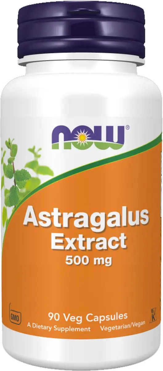 Now Foods Astragalus Extract 500mg