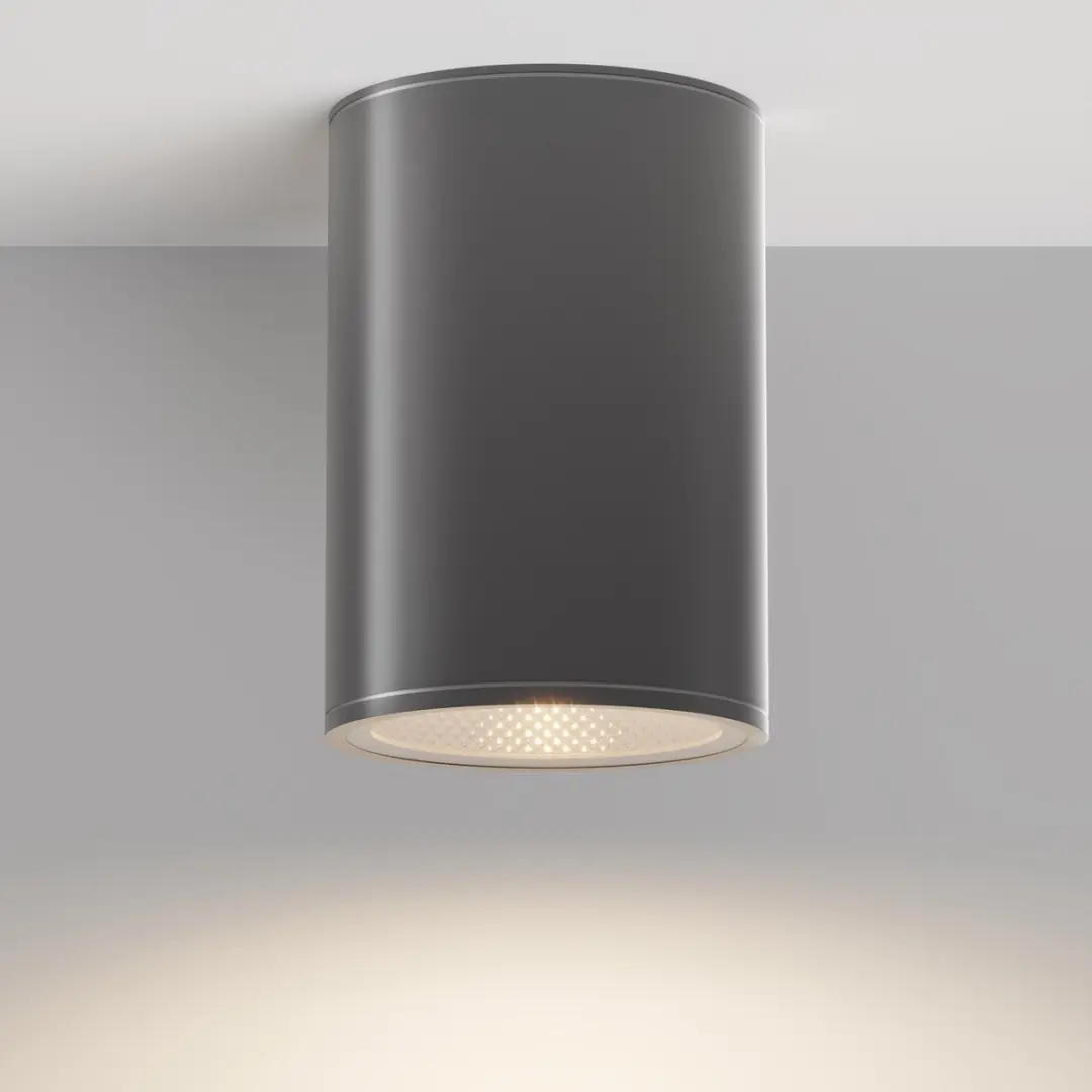 Maytoni Outdoor Plafondlamp Bar Grafiet - Ø10,8cm