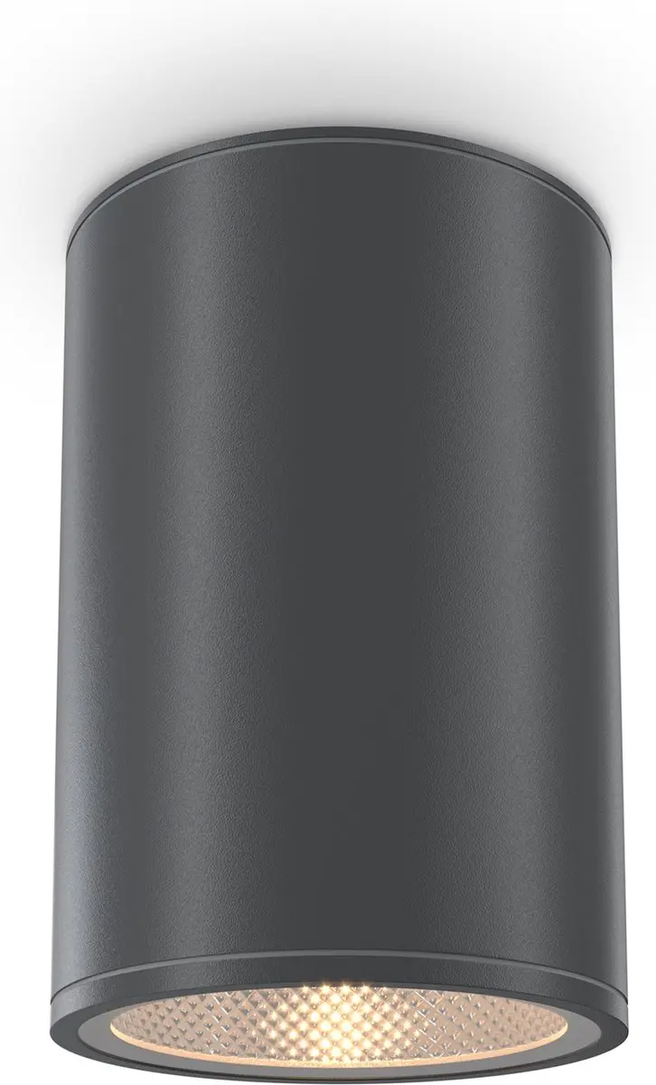 Maytoni Outdoor Plafondlamp Bar Grafiet
