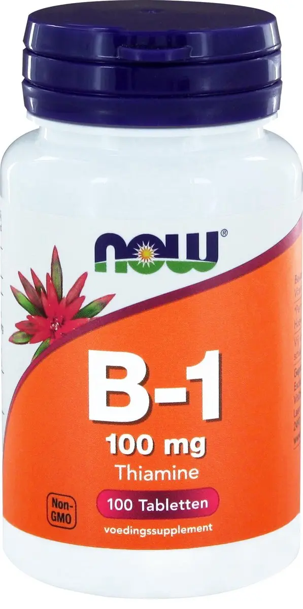 Now Foods Vitamine B-1 100mg