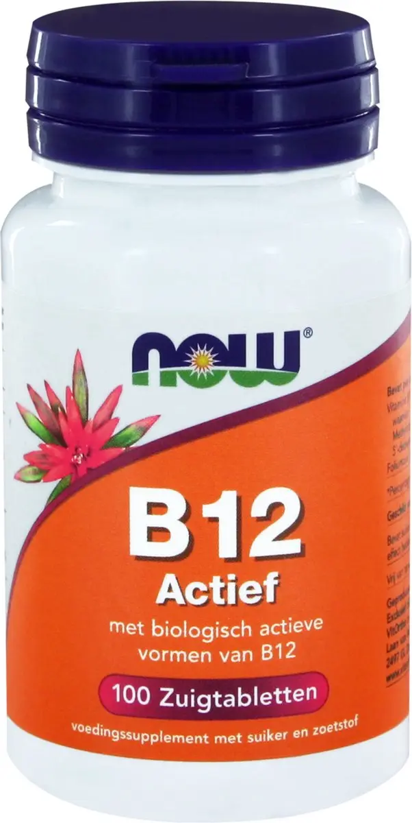 Now Foods Vitamine B12 Actief 1000 mcg