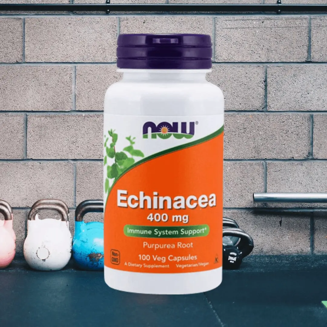 Now Foods Echinacea 400mg 100 Caps