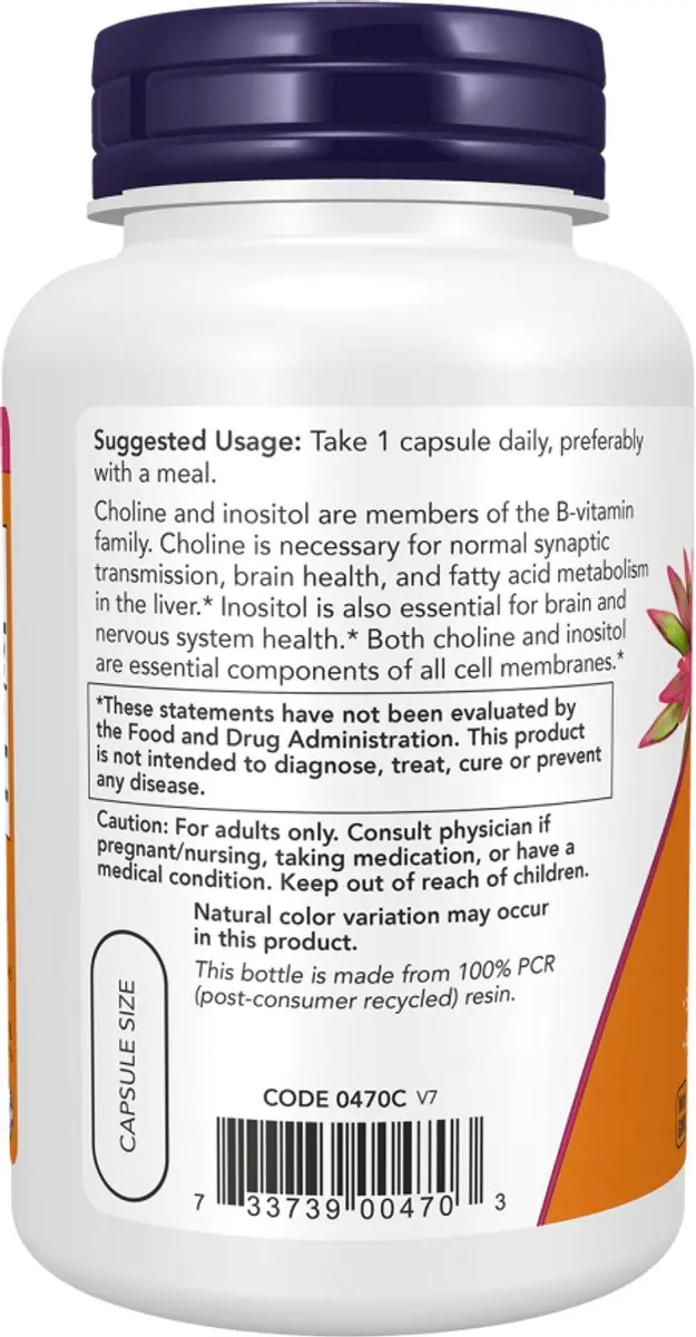 Now Foods Choline & Inositol 500mg - 100 Stuks