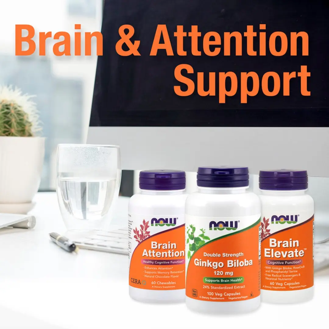 Now Foods Ginkgo Biloba 240 Capsules