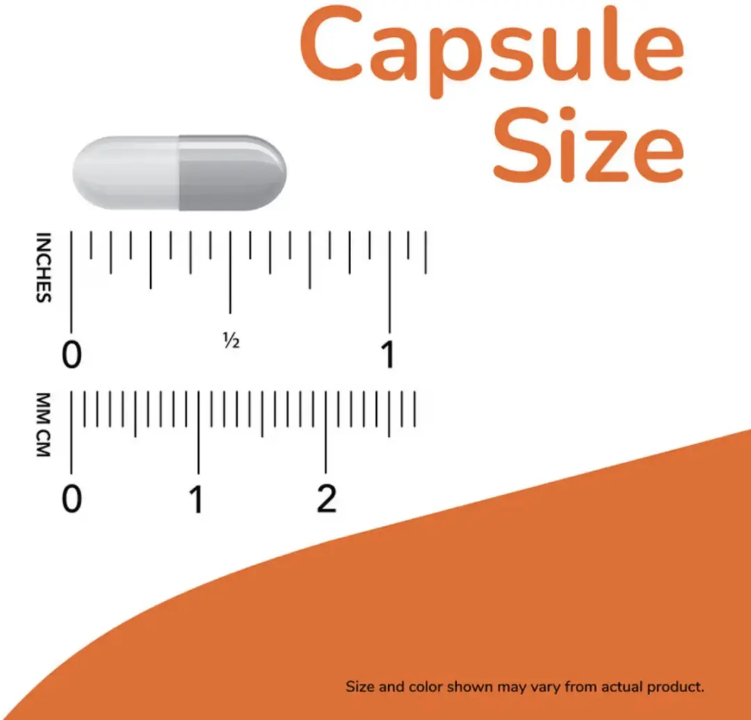 Now Foods Pycnogenol 30mg - 60 Vegetarische Capsules