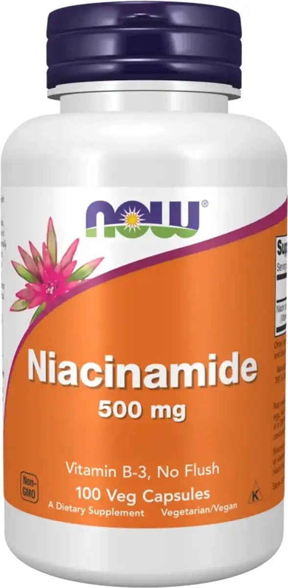Now Foods Niacinamide 500mg