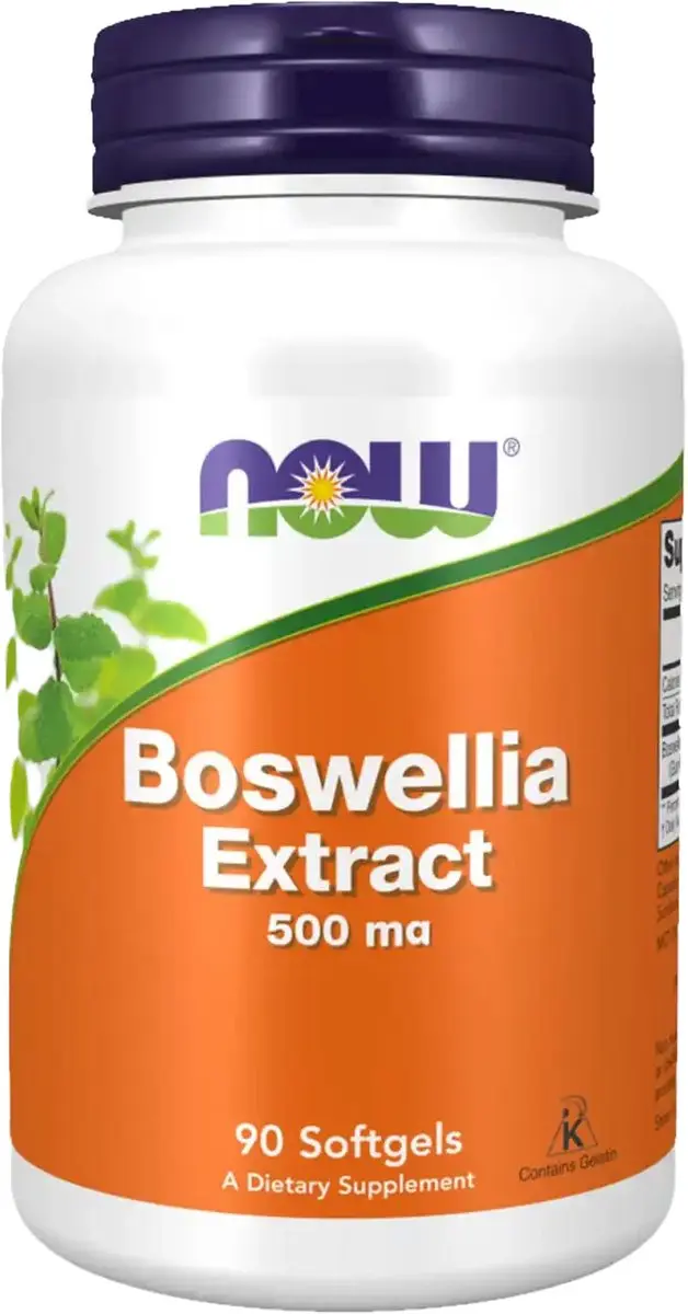 Now Foods Boswellia Extract 500mg