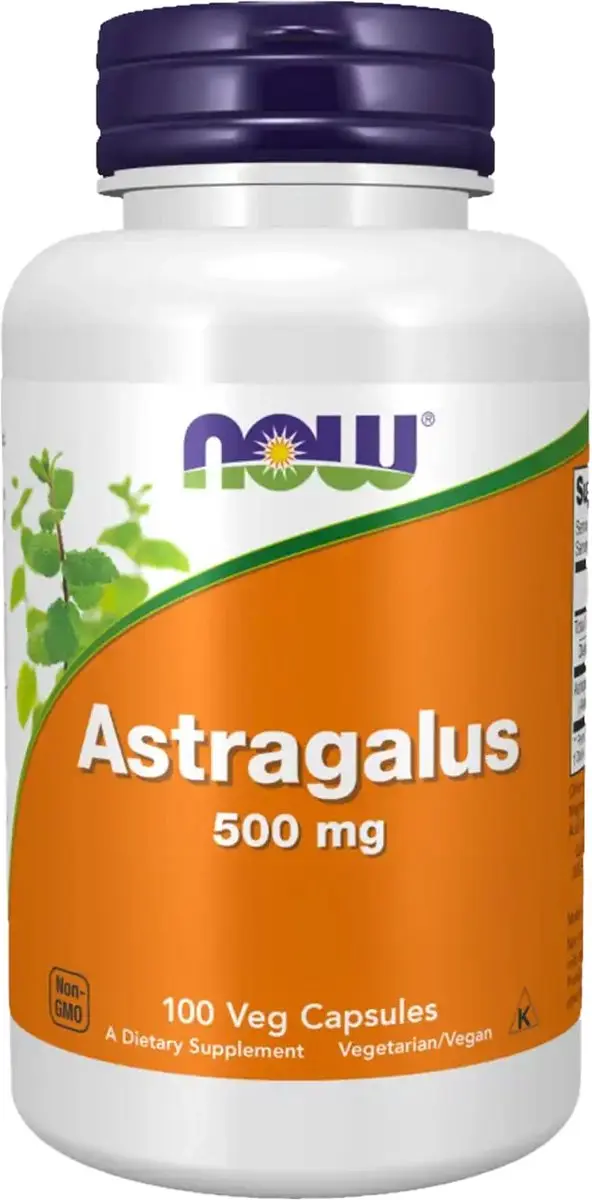 Now Foods Astragalus 500mg
