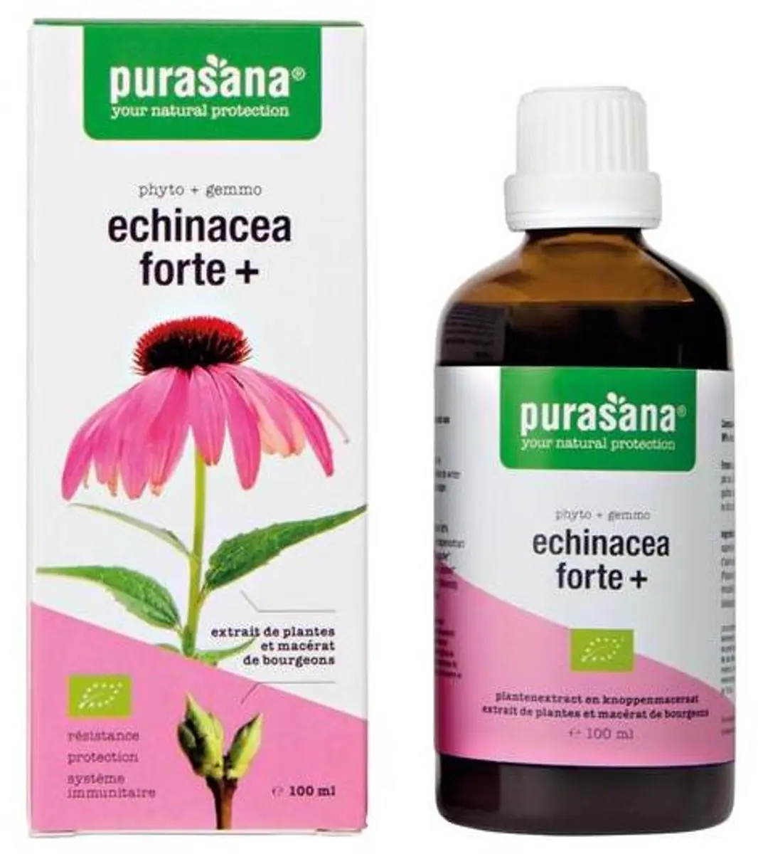 Purasana Echinacea Duo Bio 200ml