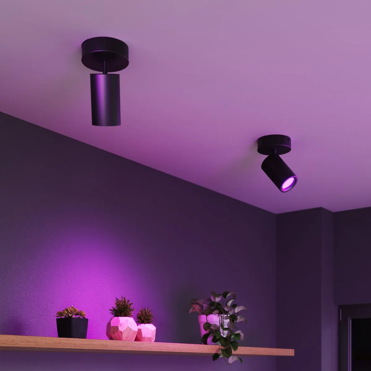 Calex Smart Plafondlamp 1-Lichts - Zwart