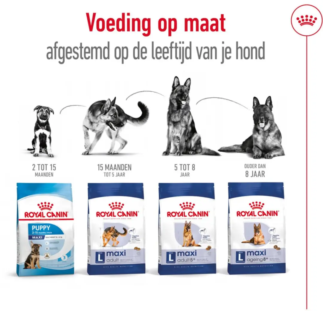 Royal Canin Maxi Ageing 8+ Hondenvoer - 12 kg