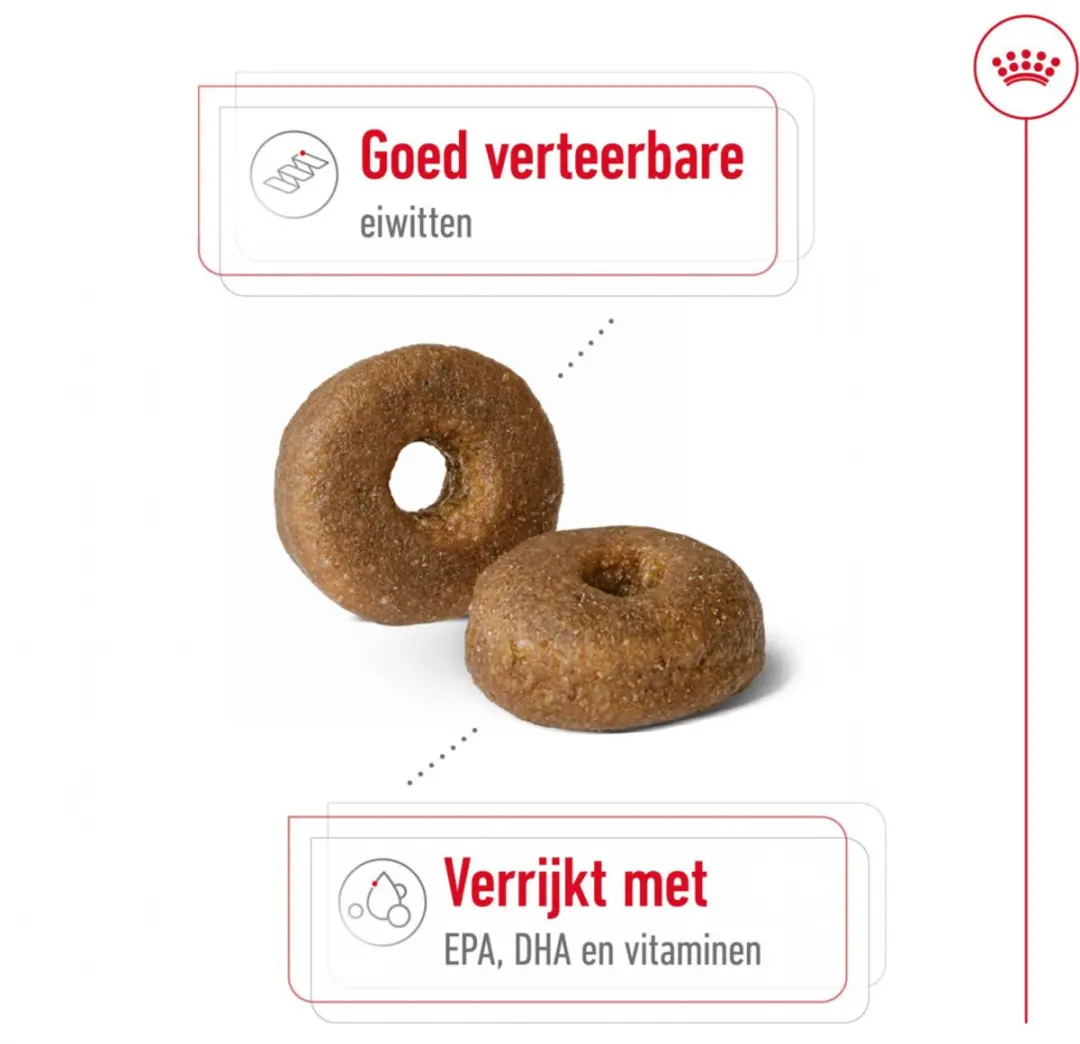 Royal Canin Maxi Ageing 8+ Hondenvoer - 12 kg