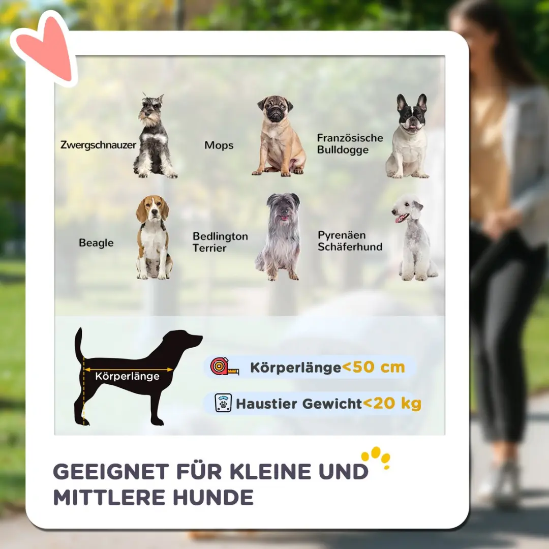 Pawhut Hundewagen inkl. Kussen - 20 kg - Grau