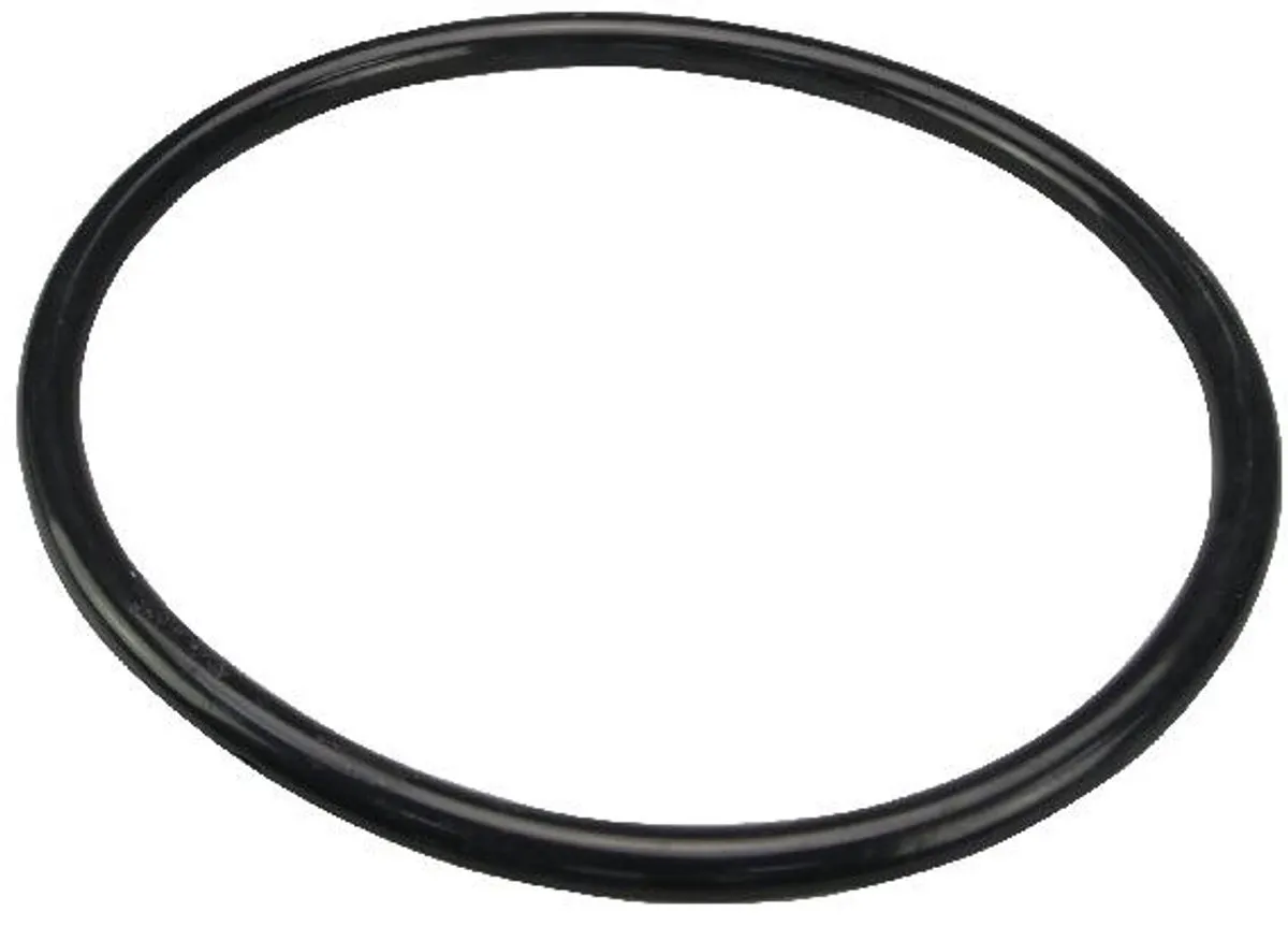 Bestway BestClean O-ring 50.299.30.060