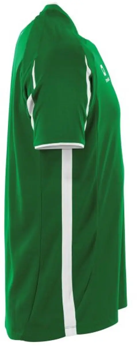 Stanno Unity Shirt 164 - Groen/Wit
