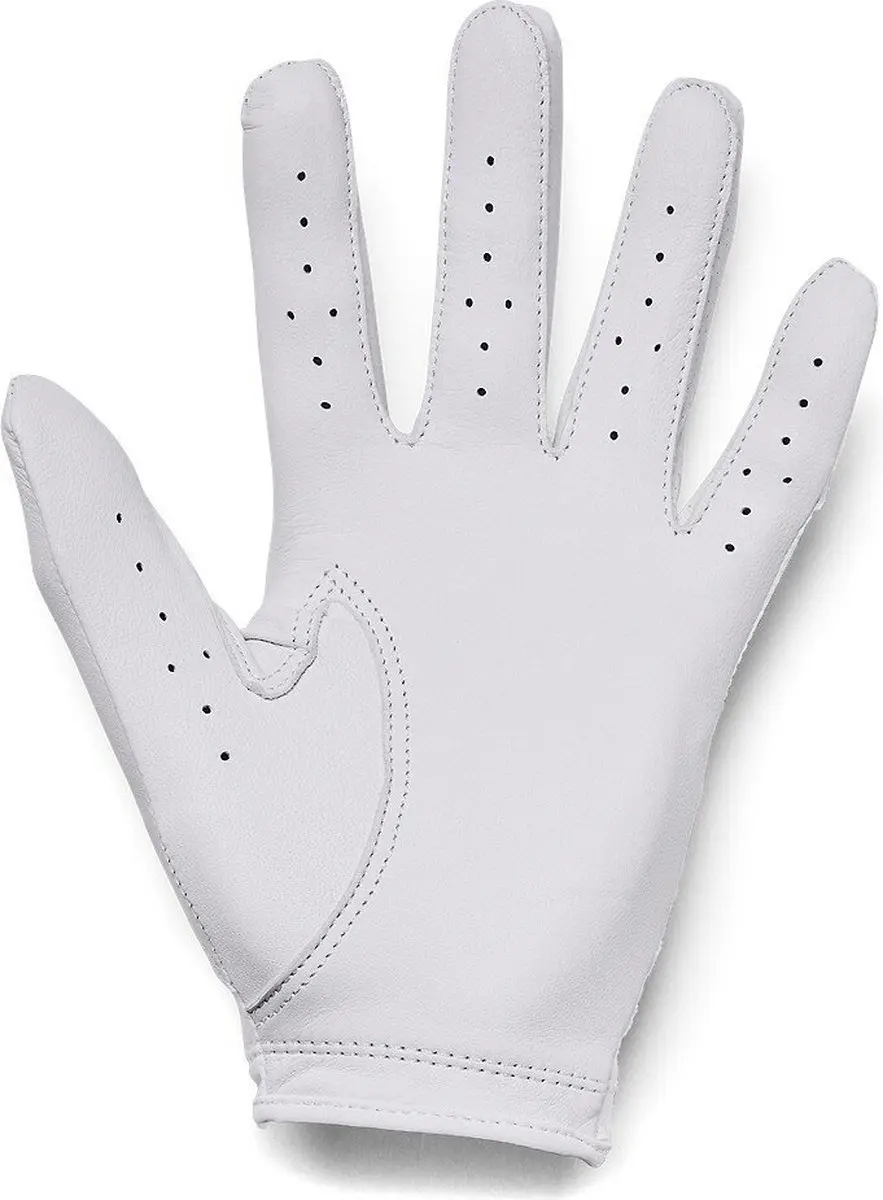 Under Armour Dames Golfhandschoen Iso Chill L - Wit/Grijs
