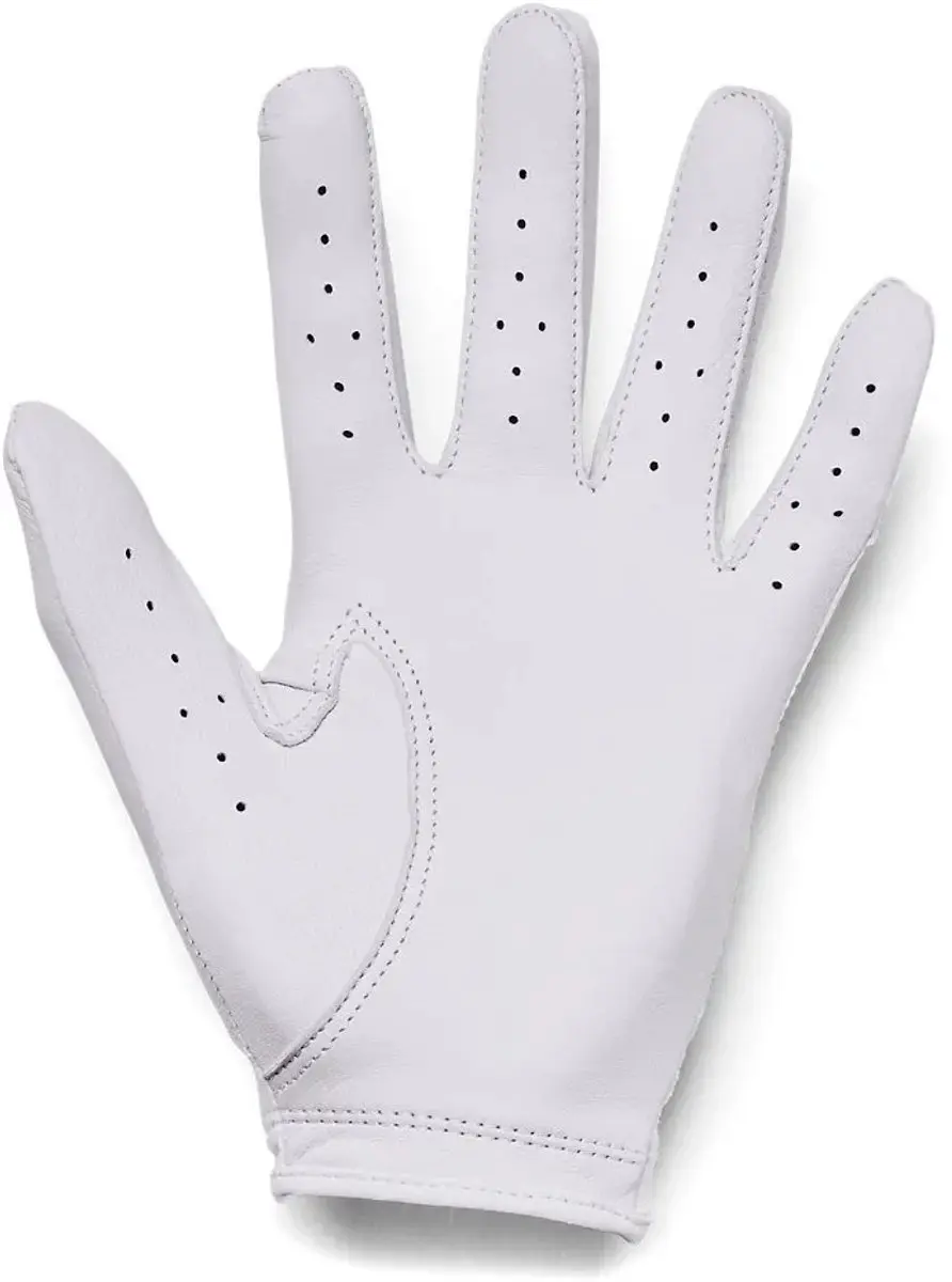 Under Armour Dames Golfhandschoen Iso Chill L - Wit/Grijs