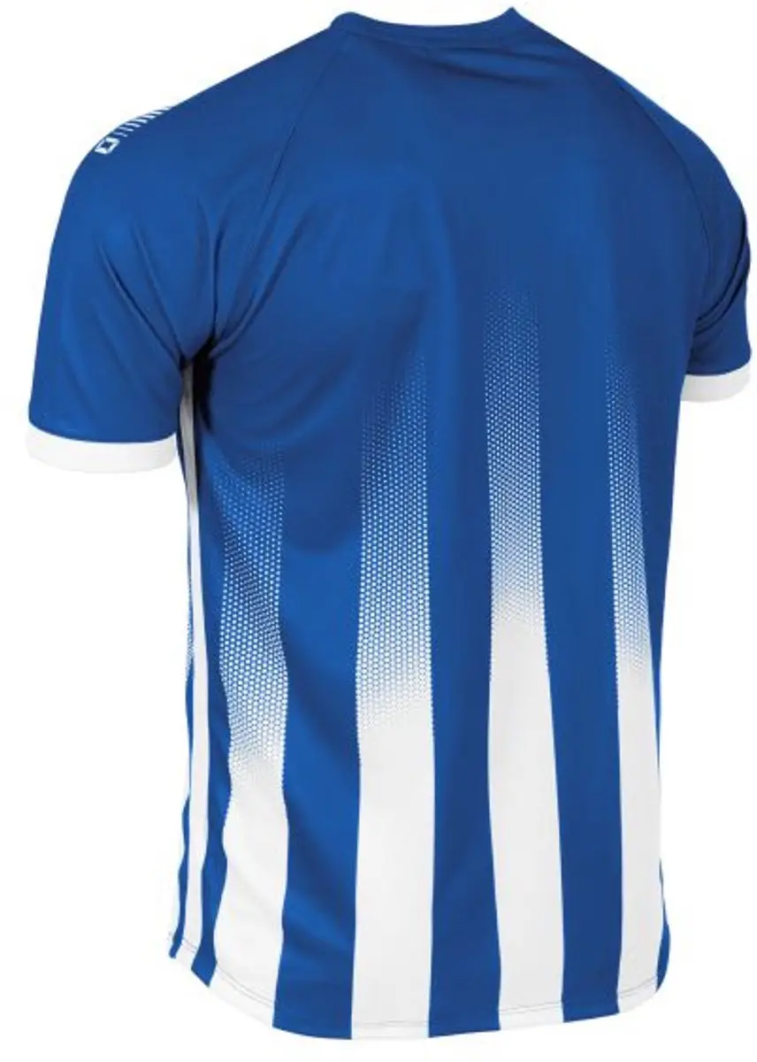 Stanno Vivid Shirt - S - Blauw/Wit