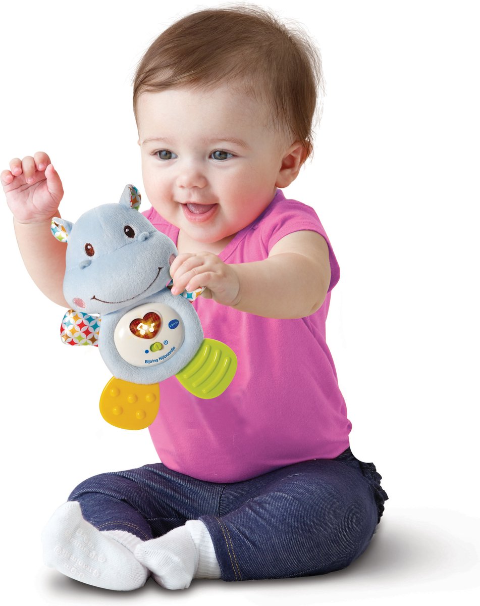 VTech Baby 80-502507 educatief speelgoed