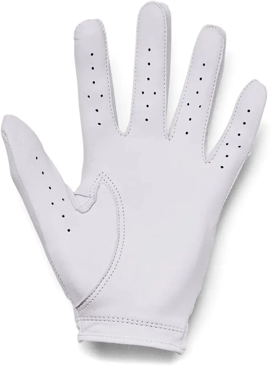 Under Armour Dames Golfhandschoen Iso Chill - Linker - S - White Halo Gray