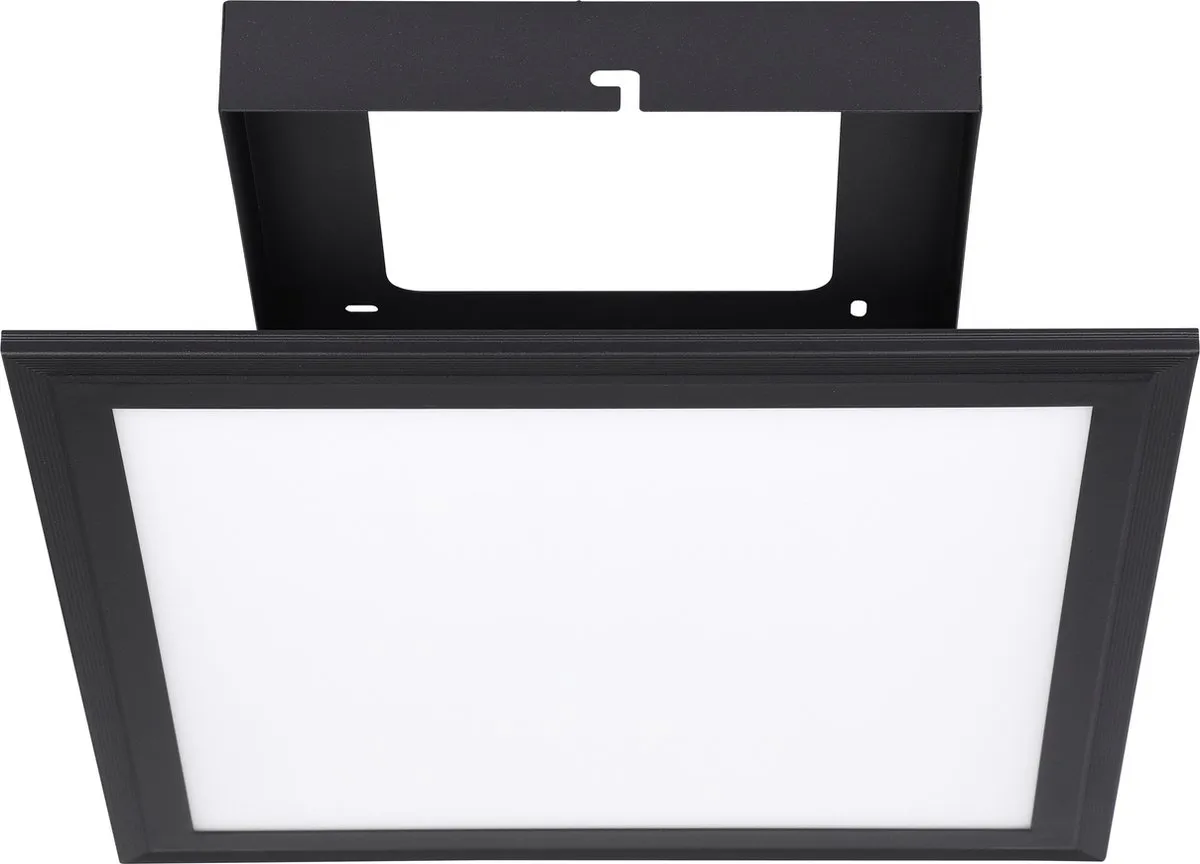 Eglo Salobrena 1 Plafondlamp 30cm - Zwart/Wit
