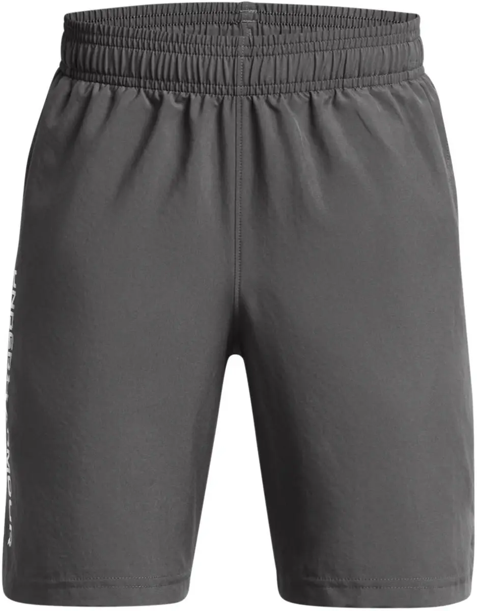 Under Armour UA Tech Woven Short 122