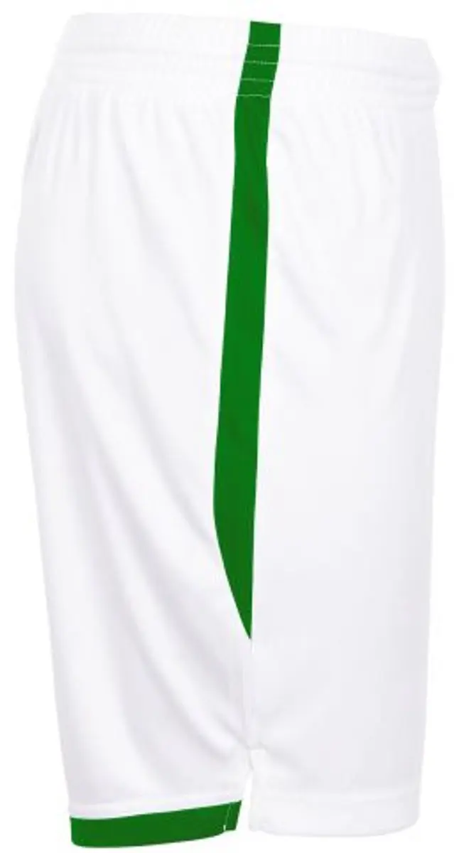 Stanno Focus Shorts II Sportbroek L - Wit