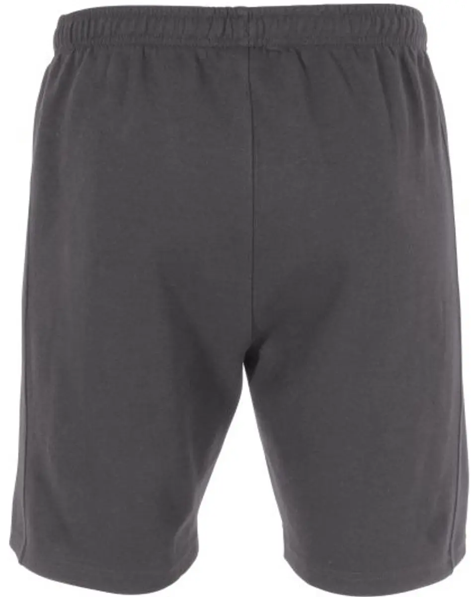 Stanno Base Sweat Shorts XS - Antraciet