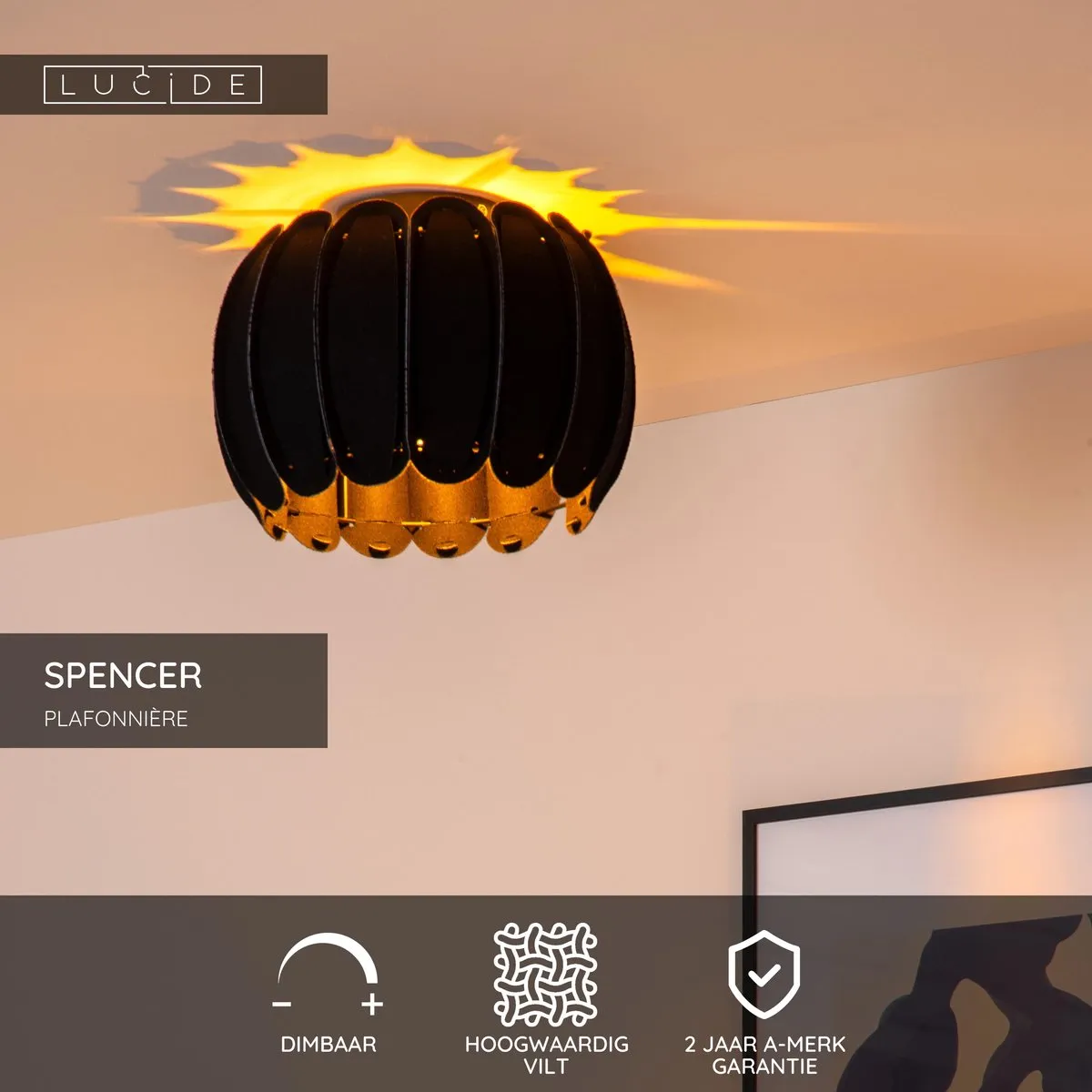 Lucide Spencer Plafondlamp Ø30cm - 1xE27 - Zwart