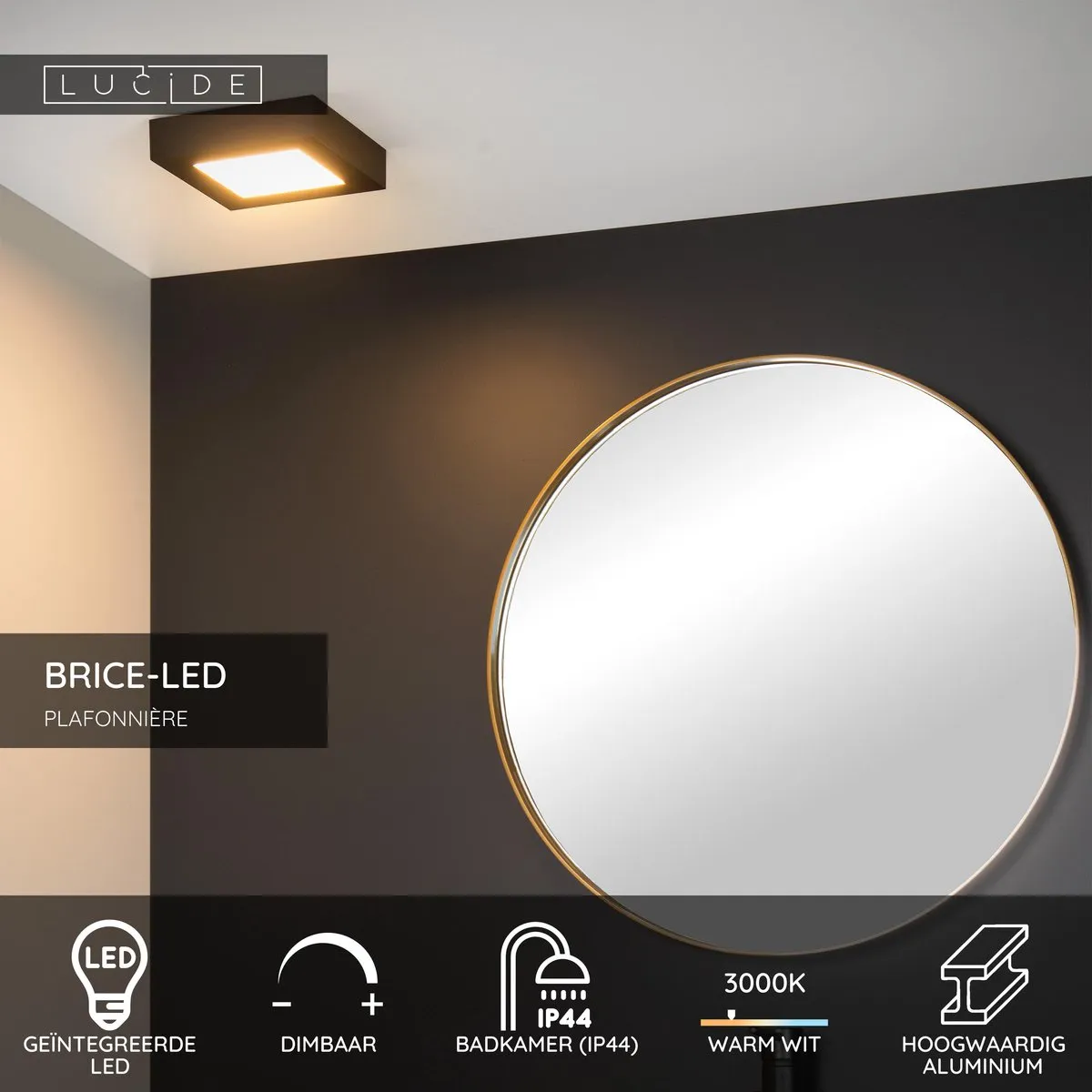 Lucide BRICE-LED Plafondlamp Badkamer - 15W 3000K - Zwart