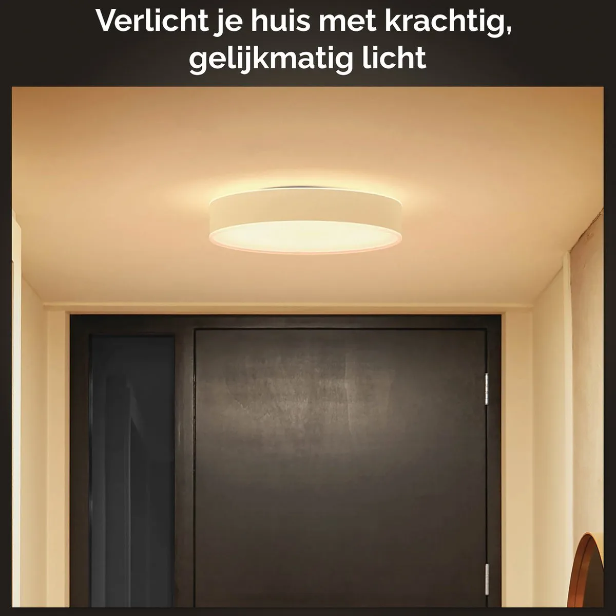 Philips Hue Enrave Plafondlamp 26cm - Wit - Incl. Dimschakelaar
