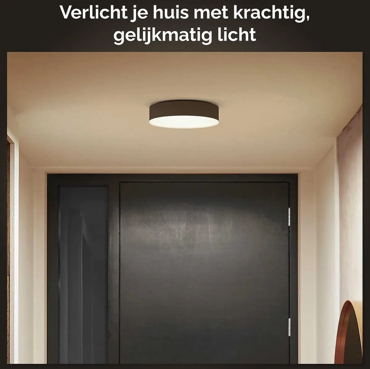 Philips Hue Enrave Plafondlamp 26cm - Zwart