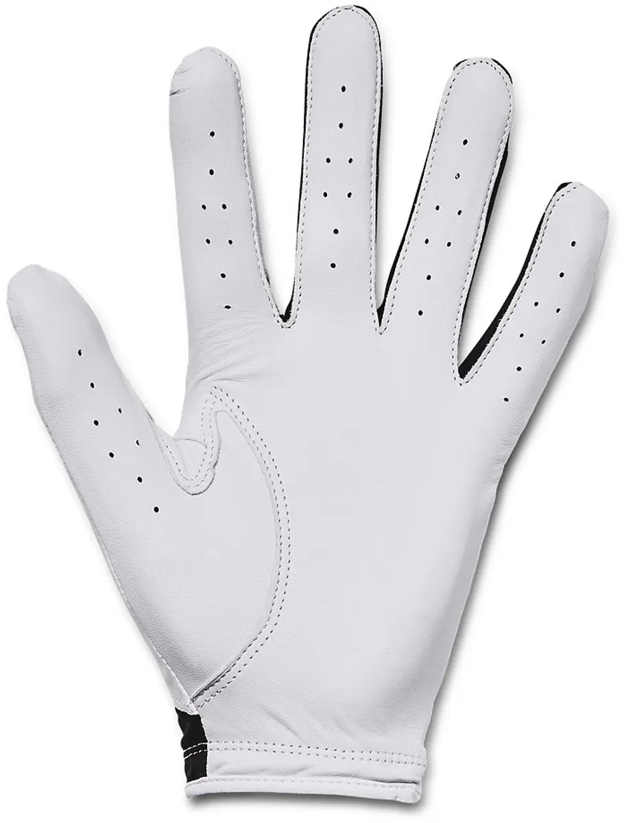 Under Armour Heren Golfhandschoen Iso Chill S - Wit/Zwart