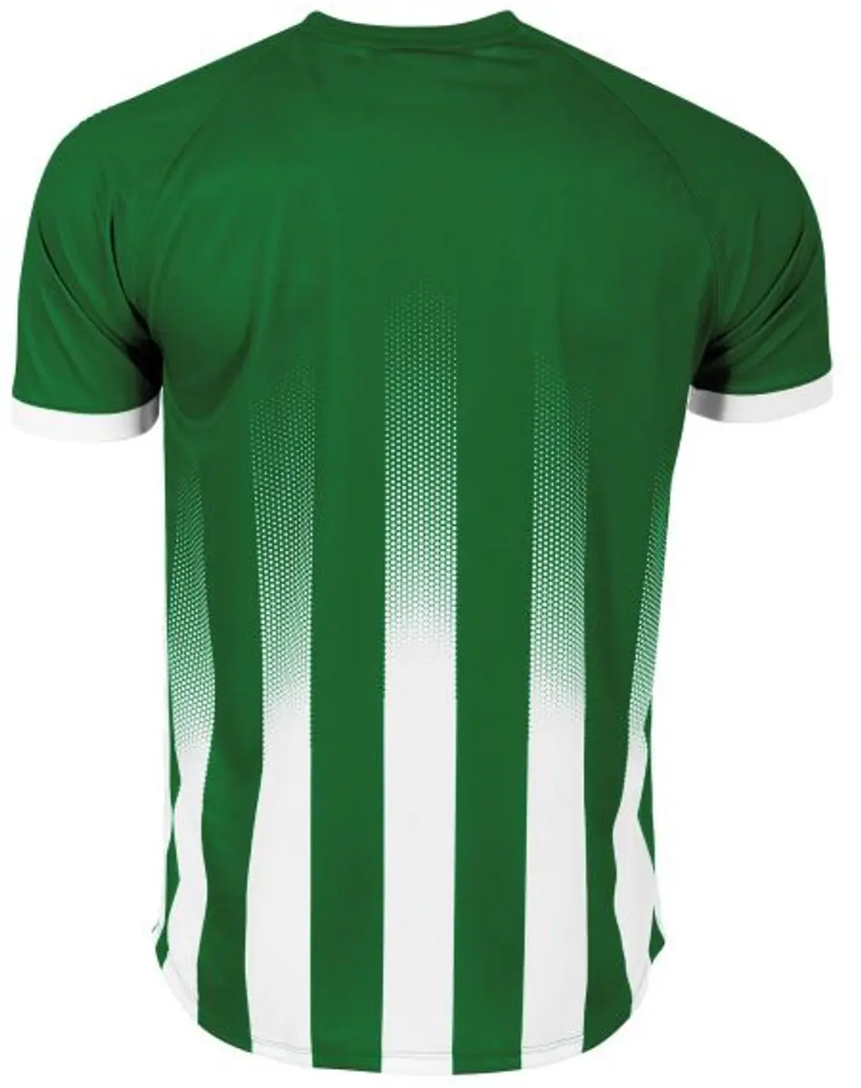 Stanno Vivid Shirt - Maat L - Groen/Wit