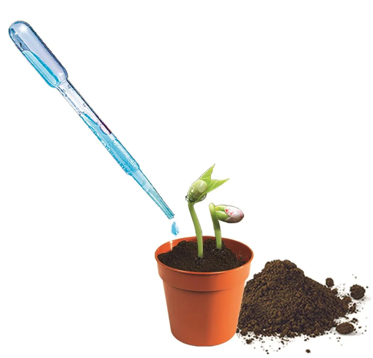 Clementoni Mini Serre Moestuintje 56596 - Educatief Speelgoed - afbeelding 6 van 6