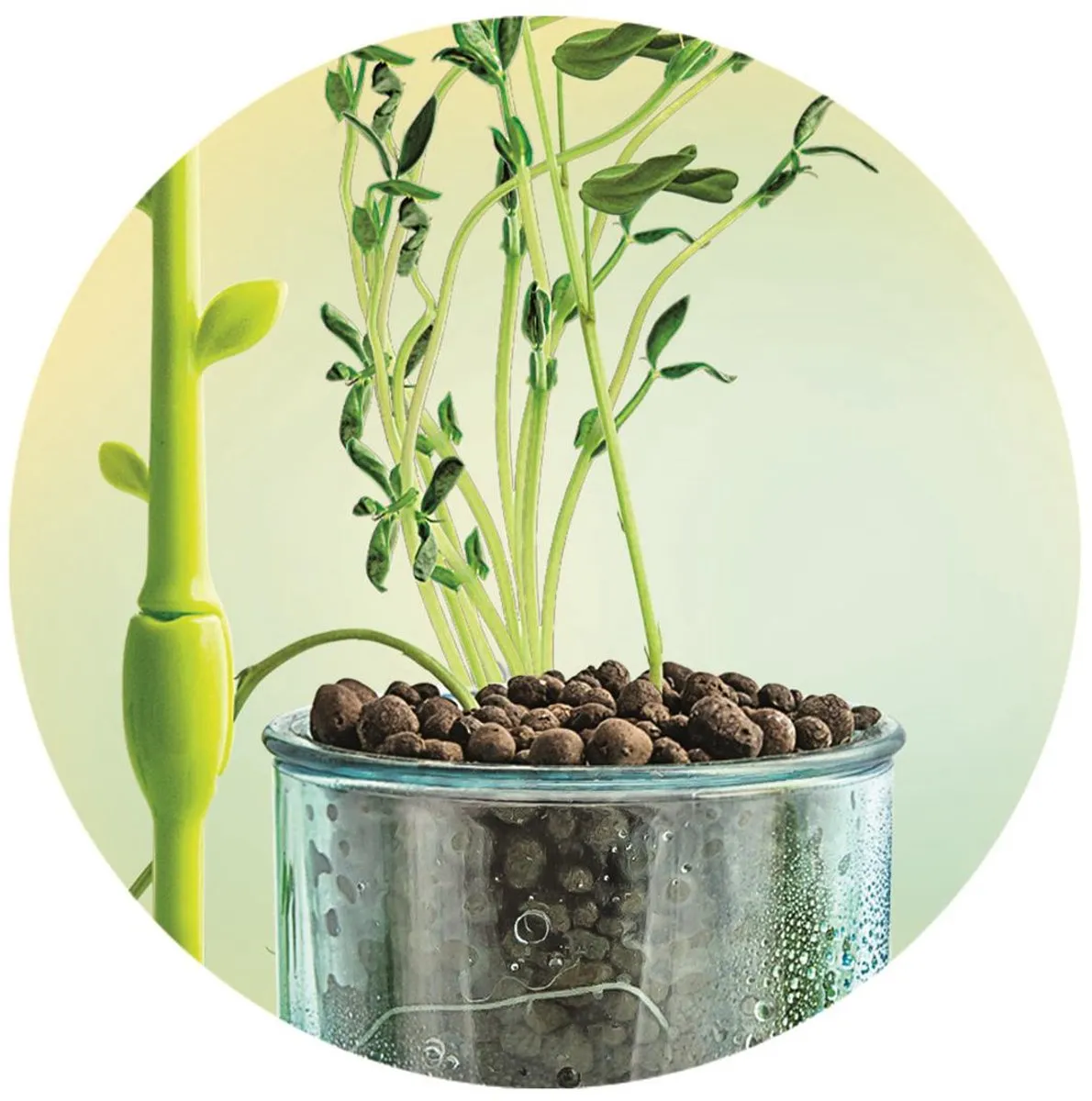 Clementoni Mini Serre Moestuintje 56596 - Educatief Speelgoed