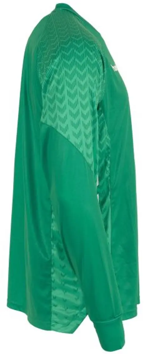 Hummel Orlando Keepershirt Heren - Groen M